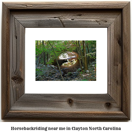 horseback riding near me in Clayton, North Carolina